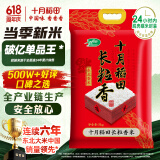 十月稻田 当季新米 长粒香大米 10斤（东北大米 香米 5公斤/十斤）