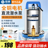 臣源直流潜水泵48-60v高扬程12V24V72V电瓶车抽水泵家用农用抽水机 48-60V/2寸(10米线+30米水带)