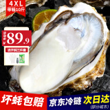 永鲜悦【黑标甄选】乳山生蚝鲜活特大贝类牡蛎火锅烧烤食材带箱5-10斤 【精品】4XL/带箱10斤（约14-20只）