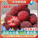 闽臻冰杨梅袋装速冻冰镇杨梅球新鲜水果特大果肉冷冻休闲零食开袋即食 2斤（顺丰直发）