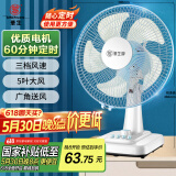 华生（Wahson）电风扇/台扇/低音风扇/大风量家用电扇/空调伴侣交流定频风扇 WS-A1201