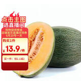 京鲜生 哈密瓜/西州蜜 1粒装 2.5斤起 生鲜水果