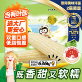 东北农嫂糯玉米甜糯香粘真空装黏玉米棒粒吉林产低脂主食可选有机 【更甜】白甜糯玉米2kg*1箱约8穗