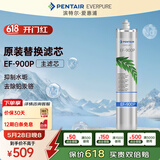 爱惠浦（Everpure） EF-900P 净水机滤芯