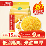 十月稻田 黄小米 1kg 小米粥 五谷杂粮 小黄米 粗粮 早餐粥米 2斤