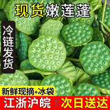 舌尖乡甜新鲜莲蓬现摘生吃甜嫩莲子米浙江太空莲当季应季孕妇时令水果整箱 【顺丰快递】新鲜莲蓬3斤