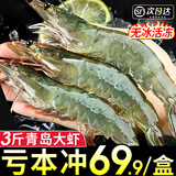 尚致虾青岛大虾新鲜大虾青虾冰虾海虾大对虾鲜活冷冻基围虾 12-15厘米 3斤(净重)  3斤