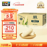 北纬47°（BEIWEI） 白甜糯玉米4.4斤（220g*10穗 )低脂玉米糯玉米白糯玉米早餐代餐 