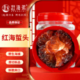 赶海弟 红海蜇头800g 野生海捕原切精品 非即食海蜇丝 凉拌菜 海鲜干货
