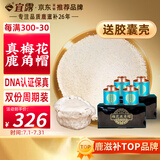 宜露梅花鹿角帽粉100克吉林双阳鹿角帽打粉胶囊鹿托盘梅花鹿乡