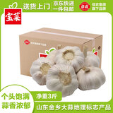 佳农宝菜山东金乡大蒜精选净重3斤果径约5cm+源头直发包邮