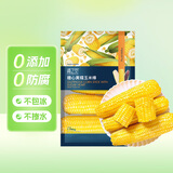 京鲜生 浦之灵冷冻黄糯糖心玉米棒1.98kg(6根)/袋非转基因东北粘甜玉米