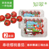 京鲜生＆知翠 串收樱桃小番茄450g*2盒非千禧圣女果 源头直发