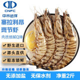 中水远洋进口斑节虾活冻锁鲜无冰大虾净重1kg鲜冻塞拉利昂竹节虾30-40只