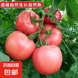 山东红果西红柿农家自种新鲜水果生吃沙瓤番茄应季蔬菜自然熟 红果西红柿 4斤