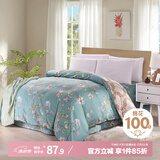 艾薇被套单件被罩纯棉温馨居家全棉双人被套200x230cm  清馨花园
