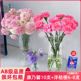 悦多彩优质水养鲜切花 母亲节三八节花束 昆明基地现采直发顺丰生活鲜花 洋桔梗6-8支+康乃馨10支