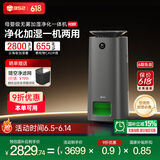 352空气净化加湿器 超大加湿量 无雾加湿器+专业空气净化器一机多能 四季可用H301 H301
