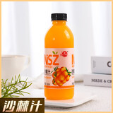 椰瀑【12款任选】风味饮料果汁饮品聚餐烧烤果蔬汁饮料大瓶特价 沙棘汁风味饮料1瓶