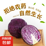 【特惠蔬菜】新鲜紫甘蓝卷心菜紫色包菜红椰菜紫球生菜即食沙拉菜 试吃【1斤】新鲜农家菜 新鲜发出 人工精选