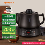 九阳（Joyoung）煎药壶中药壶熬药锅 养生壶 5L大容量 液体加热器 智能药膳煲家用DGD5003BQ