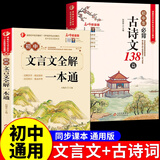2025初中必背古诗文138篇和文言文全解一本通配套人教版初中生初一初二初三到七八九年级中考语文必刷题古诗词译注与赏析阅读训练全析完全解读 【同步课本】文言文+古诗文2册