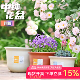 爱丽思花盆 加厚阳台花卉盆栽植物绿萝月季栀子茉莉花种植盆塑料花盆 8号茶色-口径24.8cm 单花盆【1个装】