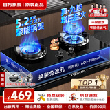 樱花雪燃气灶天然气灶液化气煤气灶双灶台式嵌入式燃气灶家用灶具5.2KW大火力鸳鸯免扩孔一级能效包安装 【经典版】聚能省气+纯铜火盖+鸳鸯九腔 钢化玻璃 天然气【上门安装】