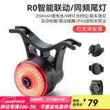 洛克兄弟（ROCKBROS）自行车尾灯USB充电骑行安全夜骑车灯警示灯公路山地车尾灯配件 智能同频刹车尾灯 RO (单个)