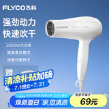 飞科（FLYCO）电吹风机家用发廊大功率2000W速干恒温便携可折叠白色FH6232