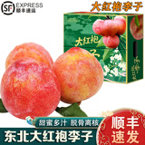 南步东北大红袍李子【顺丰到家】干核脱骨樱桃李玫瑰李黑布林水果礼盒 3斤 精选中小果【单果约100g】纸箱