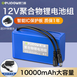 德力普（Delipow）12v锂电池大容量锂离子聚合物锂电池组带显示屏移动电源太阳能灯音响监控设备24V可充电方形电池 12V 10000毫安【送2A充电器】