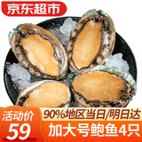 弹指鲜生新鲜熟冻大鲍鱼 鲜活冷冻贝类 加大号鲍鱼4粒/袋