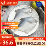 鲜到鲜得 东海银鲳鱼400g(2条装) 生鲜鱼类 海鲜水产 海鱼 烧烤
