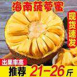 素月海南菠萝蜜新鲜水果黄肉老树木一整个21-25斤波罗蜜热带特产生鲜