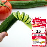 tescoma 捷克 螺旋黄瓜切片器 青瓜切片器 厨房料理小工具蓑衣黄瓜 装盘工具
