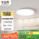 公牛（BULL）吸顶灯IP50防尘防虫卧室阳台过道灯MX-A024C-AS全白24W