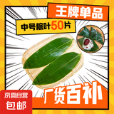 粽子叶棕叶新鲜大号新叶包粽子专用的叶子端午节便宜批发粽叶大号 中号【7-9cm】粽叶50片(送线团)