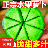 山东潍坊新鲜蔬菜水果脆甜青萝卜现摘现发无公害蔬菜源头直发 新鲜水果萝卜1个尝鲜装550±50