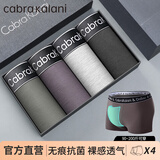 CabraKalani男士内裤男新疆棉无痕纯色平角抗菌青少年四角裤宽松大码冰丝短裤 C品牌专柜黑灰咖绿纯棉款 4条 XL （建议110-135斤）