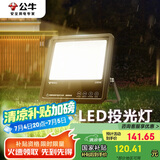公牛（BULL）LED投光灯户外路灯庭院灯露营灯 IP65防水高亮度100W-3000K暖白光