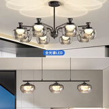 欧帝圣斯 意式轻奢客厅吊灯2025年新款设计师高档餐厅卧室吊灯套餐灯具 套餐15-两厅-无极调光