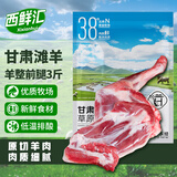 西鲜汇甘肃滩羊 整只羊前腿净重3斤 羊肉生鲜炖煮煲汤火锅食材 源头直发