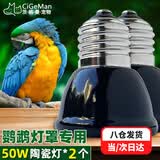 茨格曼鹦鹉保温灯加热灯鸟笼保暖器幼鸟过冬用品玄凤鹦鹉保温灯罩暖灯 100W陶瓷灯*2个装