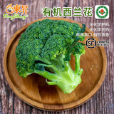 東昇有机西兰花250g 有机蔬菜 代餐沙拉餐  火锅食材烧烤健康轻食