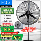 长城（CHANGCHENG）工业风扇电风扇工厂车间大风力落地扇强力超大工业扇商用大功率牛角扇交流定频工业电风扇FL-75