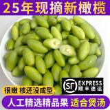 良知农哥 【顺丰】25年现摘新鲜嫩橄榄 潮汕青橄榄生青果炖猪肚泡茶煲汤 嫩橄榄2斤丨顺丰陆运