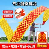 新动力舞龙彩带健身广场舞运动会手甩龙儿童户外玩具舞龙道具单面烫金5m