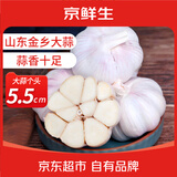 京鲜生京鲜生山东金乡大蒜带皮干蒜净重5斤单果5.0-6.0cm源头直发包邮