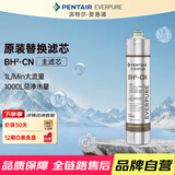 爱惠浦（Everpure）BH(2) 净水器主滤芯